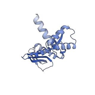 26434_7ub2_G_v1-1
Structure of RecT protein from Listeria innoccua phage A118 in complex with 83-mer annealed duplex