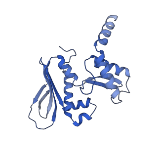 26434_7ub2_I_v1-1
Structure of RecT protein from Listeria innoccua phage A118 in complex with 83-mer annealed duplex