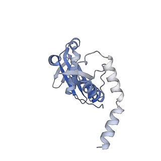 26434_7ub2_N_v1-1
Structure of RecT protein from Listeria innoccua phage A118 in complex with 83-mer annealed duplex