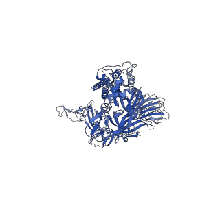 26435_7ub5_A_v1-3
SARS-CoV-2 Omicron-BA.2 3-RBD down Spike Protein Trimer without the P986-P987 stabilizing mutations (S-GSAS-Omicron-BA.2)