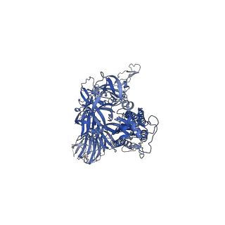 26436_7ub6_A_v1-3
SARS-CoV-2 Omicron-BA.2 3-RBD down Spike Protein Trimer without the P986-P987 stabilizing mutations (S-GSAS-Omicron-BA.2)