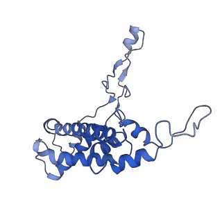 26439_7ubn_Q_v1-0
Transcription antitermination complex: NusA-containing "engaged" Qlambda-loading complex