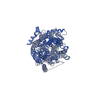 42101_8ubr_A_v1-1
Complex of the phosphorylated human cystic fibrosis transmembrane conductance regulator (CFTR) with CFTRinh-172 and ATP/Mg