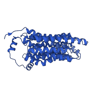 42107_8ubw_A_v1-0
Choline-bound FLVCR1