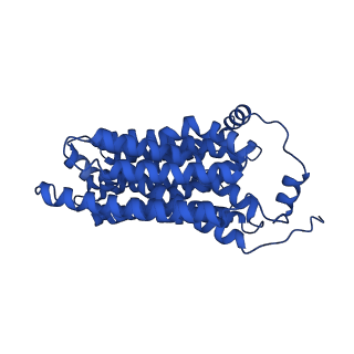 42108_8ubx_A_v1-0
Ethanolamine-bound FLVCR1