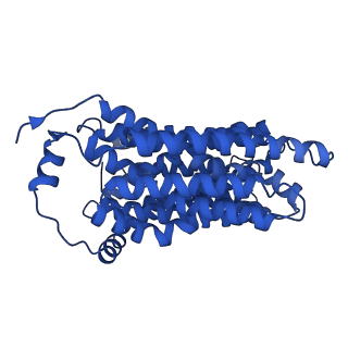 42109_8uby_A_v1-0
Choline-bound FLVCR1