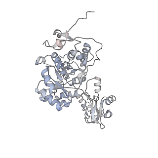 20725_6uc2_A_v1-0
Human IMPDH2 treated with ATP and 2 mM GTP. Free canonical octamer reconstruction.