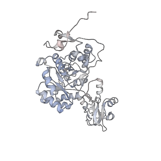 20725_6uc2_A_v1-1
Human IMPDH2 treated with ATP and 2 mM GTP. Free canonical octamer reconstruction.