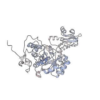 20725_6uc2_B_v1-0
Human IMPDH2 treated with ATP and 2 mM GTP. Free canonical octamer reconstruction.