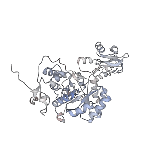 20725_6uc2_B_v1-1
Human IMPDH2 treated with ATP and 2 mM GTP. Free canonical octamer reconstruction.