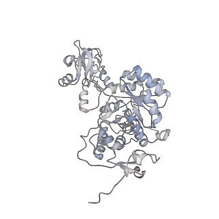 20725_6uc2_C_v1-0
Human IMPDH2 treated with ATP and 2 mM GTP. Free canonical octamer reconstruction.