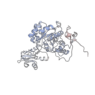 20725_6uc2_D_v1-1
Human IMPDH2 treated with ATP and 2 mM GTP. Free canonical octamer reconstruction.