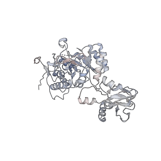20725_6uc2_F_v1-0
Human IMPDH2 treated with ATP and 2 mM GTP. Free canonical octamer reconstruction.