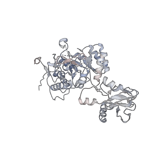 20725_6uc2_F_v1-1
Human IMPDH2 treated with ATP and 2 mM GTP. Free canonical octamer reconstruction.