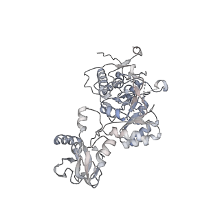 20725_6uc2_G_v1-0
Human IMPDH2 treated with ATP and 2 mM GTP. Free canonical octamer reconstruction.