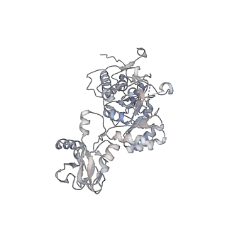 20725_6uc2_G_v1-1
Human IMPDH2 treated with ATP and 2 mM GTP. Free canonical octamer reconstruction.