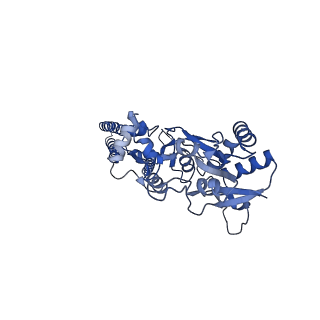 20727_6ucb_A_v1-2
GluA2 in complex with its auxiliary subunit CNIH3 - with antagonist ZK200775, LBD, TMD, CNIH3, and lipids