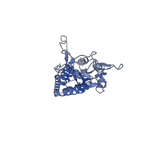 20727_6ucb_D_v1-2
GluA2 in complex with its auxiliary subunit CNIH3 - with antagonist ZK200775, LBD, TMD, CNIH3, and lipids