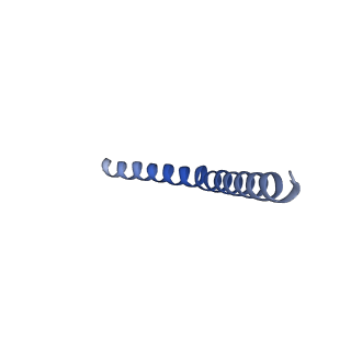 20728_6ucu_B_v1-4
Cryo-EM structure of the mitochondrial TOM complex from yeast (dimer)