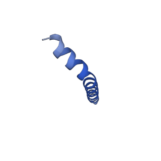 20728_6ucu_C_v1-4
Cryo-EM structure of the mitochondrial TOM complex from yeast (dimer)