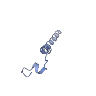 20728_6ucu_E_v1-4
Cryo-EM structure of the mitochondrial TOM complex from yeast (dimer)