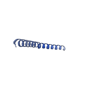 20728_6ucu_J_v1-4
Cryo-EM structure of the mitochondrial TOM complex from yeast (dimer)