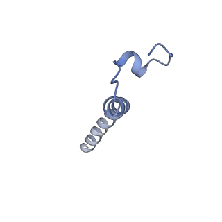 20728_6ucu_M_v1-4
Cryo-EM structure of the mitochondrial TOM complex from yeast (dimer)