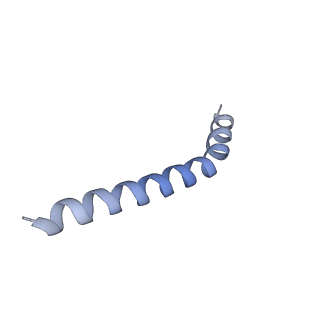 20729_6ucv_C_v1-4
Cryo-EM structure of the mitochondrial TOM complex from yeast (tetramer)