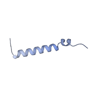 20729_6ucv_D_v1-4
Cryo-EM structure of the mitochondrial TOM complex from yeast (tetramer)