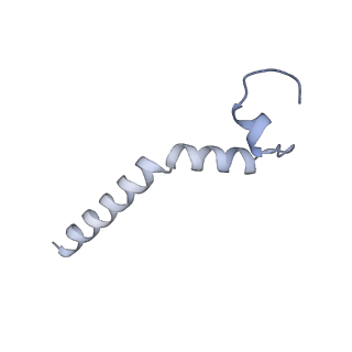 20729_6ucv_E_v1-3
Cryo-EM structure of the mitochondrial TOM complex from yeast (tetramer)