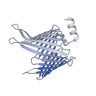 20729_6ucv_I_v1-3
Cryo-EM structure of the mitochondrial TOM complex from yeast (tetramer)
