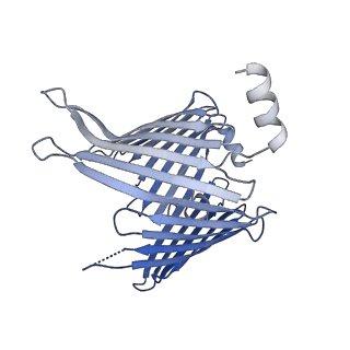 20729_6ucv_I_v1-4
Cryo-EM structure of the mitochondrial TOM complex from yeast (tetramer)