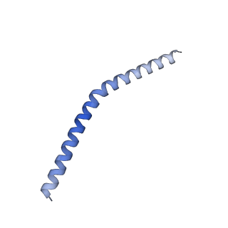 20729_6ucv_J_v1-4
Cryo-EM structure of the mitochondrial TOM complex from yeast (tetramer)