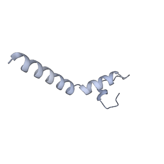 20729_6ucv_M_v1-4
Cryo-EM structure of the mitochondrial TOM complex from yeast (tetramer)