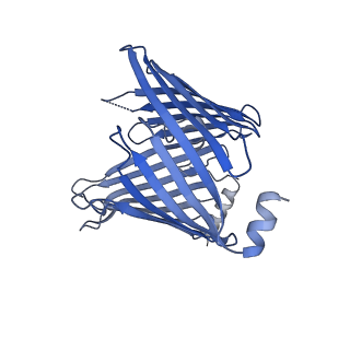 20729_6ucv_a_v1-4
Cryo-EM structure of the mitochondrial TOM complex from yeast (tetramer)