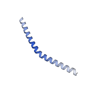 20729_6ucv_b_v1-4
Cryo-EM structure of the mitochondrial TOM complex from yeast (tetramer)