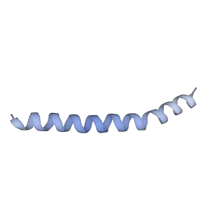 20729_6ucv_c_v1-4
Cryo-EM structure of the mitochondrial TOM complex from yeast (tetramer)