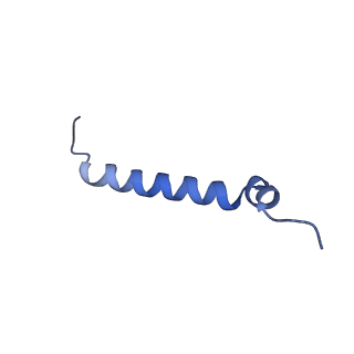 20729_6ucv_d_v1-4
Cryo-EM structure of the mitochondrial TOM complex from yeast (tetramer)