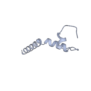 20729_6ucv_e_v1-4
Cryo-EM structure of the mitochondrial TOM complex from yeast (tetramer)