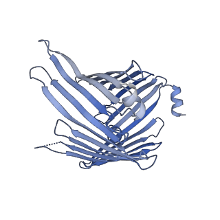20729_6ucv_i_v1-3
Cryo-EM structure of the mitochondrial TOM complex from yeast (tetramer)