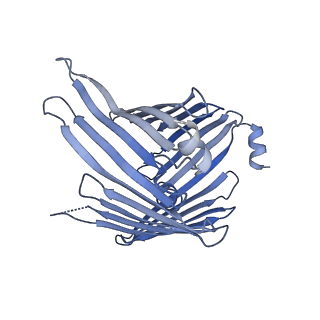 20729_6ucv_i_v1-4
Cryo-EM structure of the mitochondrial TOM complex from yeast (tetramer)