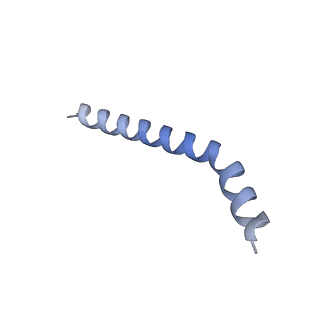 20729_6ucv_k_v1-4
Cryo-EM structure of the mitochondrial TOM complex from yeast (tetramer)