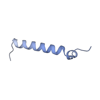 20729_6ucv_l_v1-4
Cryo-EM structure of the mitochondrial TOM complex from yeast (tetramer)