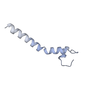 20729_6ucv_m_v1-4
Cryo-EM structure of the mitochondrial TOM complex from yeast (tetramer)