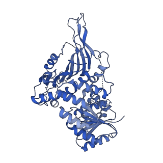 26442_7uc2_A_v1-0
Structure of G6PD-D200N tetramer bound to NADP+ with no symmetry applied