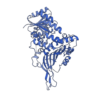 26442_7uc2_B_v1-0
Structure of G6PD-D200N tetramer bound to NADP+ with no symmetry applied