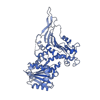 26442_7uc2_C_v1-0
Structure of G6PD-D200N tetramer bound to NADP+ with no symmetry applied