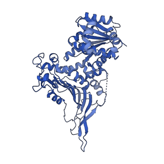26442_7uc2_D_v1-0
Structure of G6PD-D200N tetramer bound to NADP+ with no symmetry applied