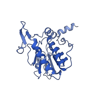 26444_7ucj_AA_v1-0
Mammalian 80S translation initiation complex with mRNA and Harringtonine