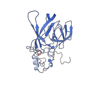 26444_7ucj_A_v1-0
Mammalian 80S translation initiation complex with mRNA and Harringtonine
